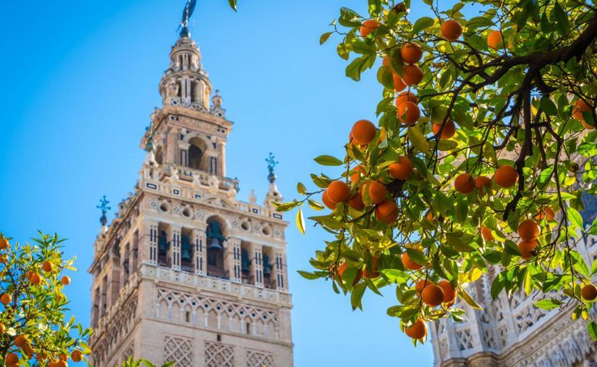 Callejon De La Luz Siviglia Esterno foto